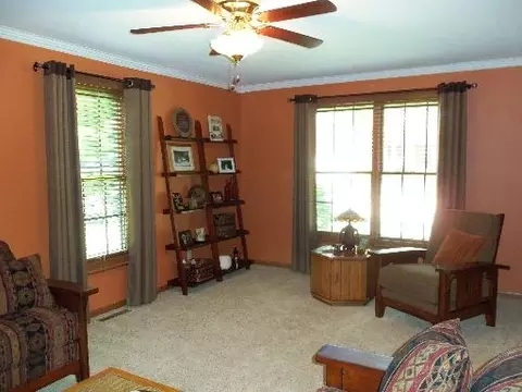 775 Michael Dr, Morris, IL 60450 photo 10