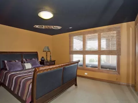13124 Blue Heron Cv, Plainfield, IL 60585 photo 20