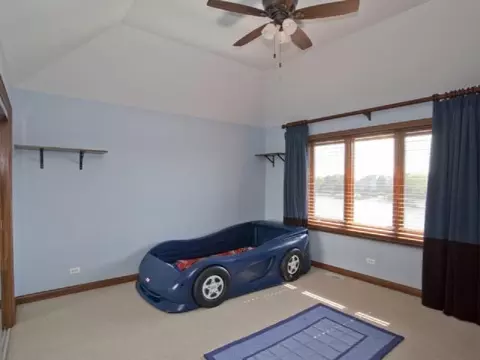 13124 Blue Heron Cv, Plainfield, IL 60585 photo 14