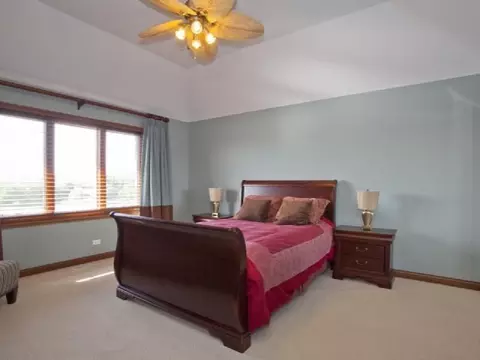 13124 Blue Heron Cv, Plainfield, IL 60585 photo 15