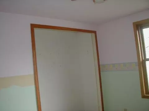 705 E Rose Ln, Godley, IL 60407 photo 10