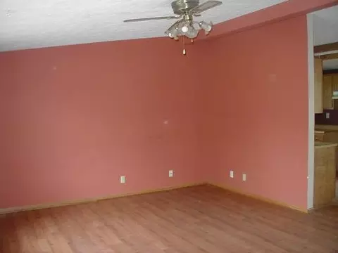 705 E Rose Ln, Godley, IL 60407 photo 5