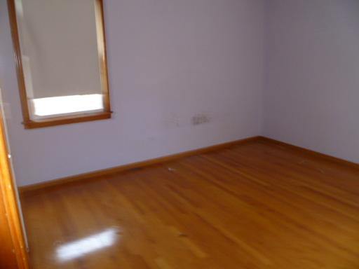 9925 Agatite Ct, Schiller Park, IL 60176 photo 3