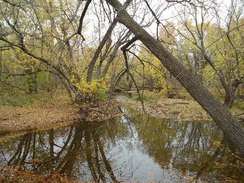10065 N Tabler Rd, Morris, IL 60450 photo 14