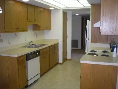 1389 Perry St #101, Des Plaines, IL 60016 photo 6