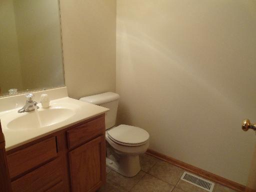 314 Maple St, Beecher, IL 60401 photo 12
