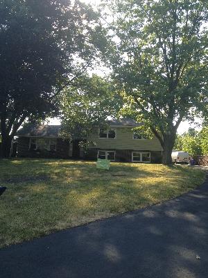 114 S Maple Ave, Hillside, IL 60162 photo 1