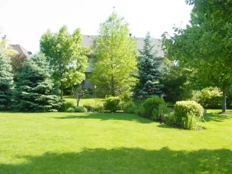 6304 Ventura Ct, Plainfield, IL 60586 photo 15