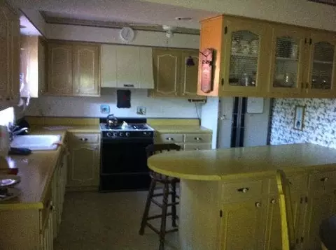 917 Locust St, Ladd, IL 61329 photo 3