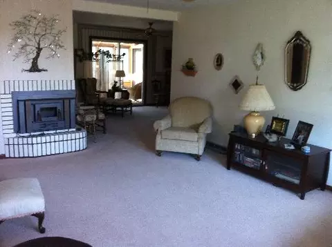 917 Locust St, Ladd, IL 61329 photo 2