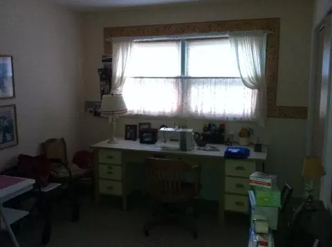917 Locust St, Ladd, IL 61329 photo 5
