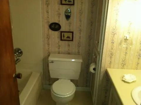917 Locust St, Ladd, IL 61329 photo 8