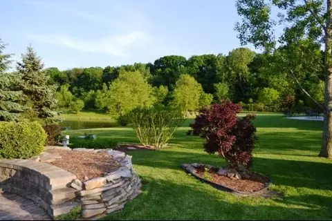 9933 Forestview Ln, Mokena, IL 60448 photo 3
