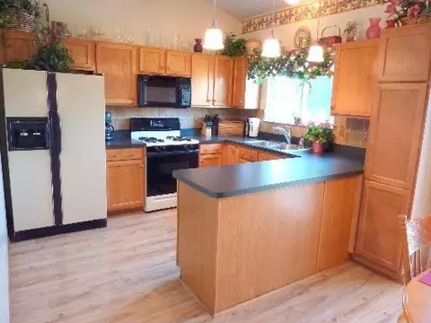 4502 Victoria Dr, Plainfield, IL 60586 photo 4