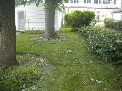 606 9th Ave, Mendota, IL 61342 photo 8