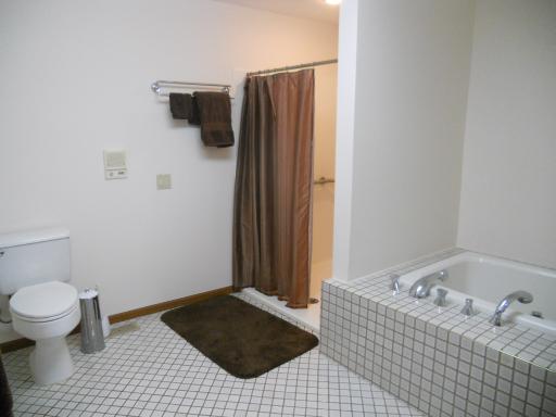 11432 W 192nd St, Mokena, IL 60448 photo 12