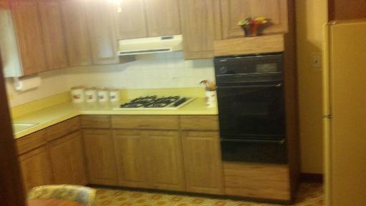 338 Heine Ave, Elgin, IL 60123 photo 2