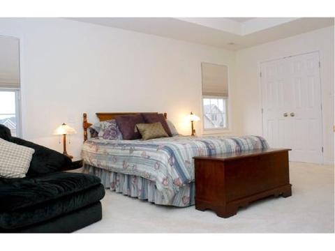 1871 Kingtree Dr, Morris, IL 60450 photo 5