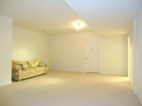 1871 Kingtree Dr, Morris, IL 60450 photo 14