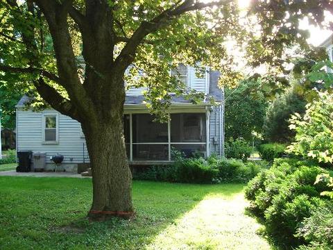 534 N Eagle St, Naperville, IL 60563 photo 2
