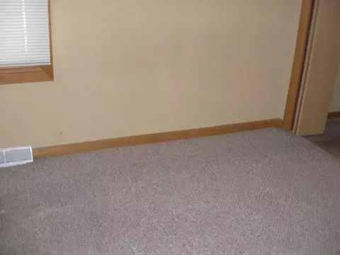 129 W Devlin St, Spring Valley, IL 61362 photo 6