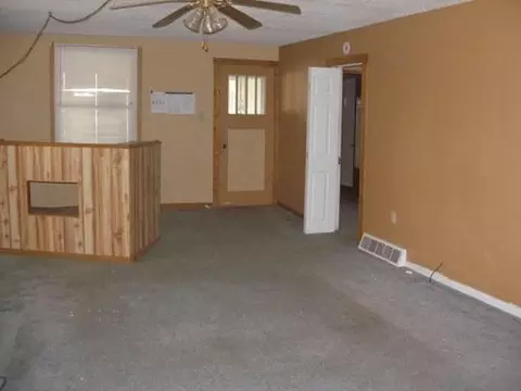 129 W Devlin St, Spring Valley, IL 61362 photo 3