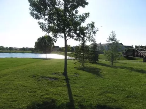 2208 Cherry Ridge Dr, Plainfield, IL 60586 photo 12