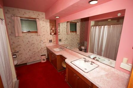 924 N Mclean Blvd, Elgin, IL 60123 photo 11