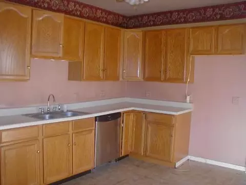 405 Depot St, Mazon, IL 60444 photo 2