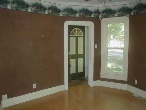 405 Depot St, Mazon, IL 60444 photo 5