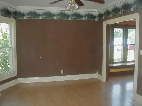 405 Depot St, Mazon, IL 60444 photo 4