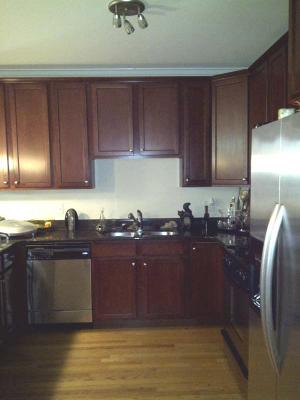 6830 S Cornell Ave #2, Chicago, IL 60649 photo 6