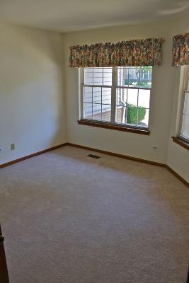 21215 W Silktree Cir, Plainfield, IL 60544 photo 9