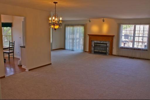 21215 W Silktree Cir, Plainfield, IL 60544 photo 3