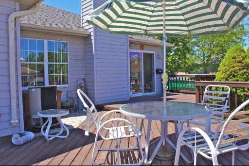 21215 W Silktree Cir, Plainfield, IL 60544 photo 11