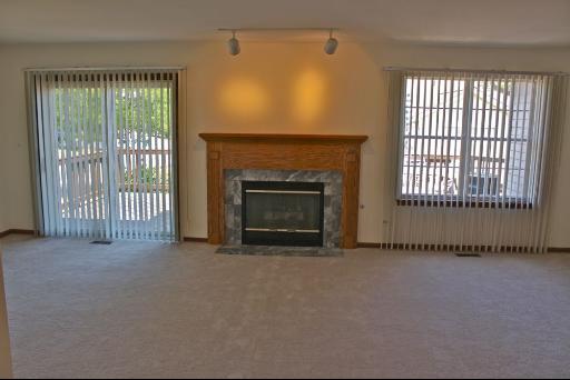 21215 W Silktree Cir, Plainfield, IL 60544 photo 2