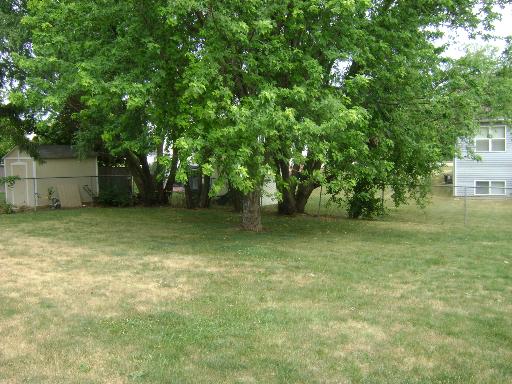 3514 Vine St, Mchenry, IL 60050 photo 7