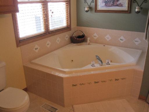 1338 E Cap Cir, Bourbonnais, IL 60914 photo 9