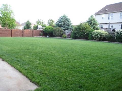 2242 Stonehaven Dr, Plainfield, IL 60586 photo 16