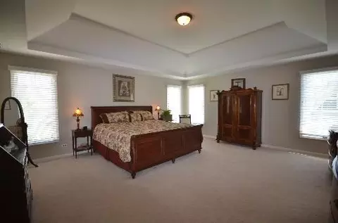 26413 Silverleaf Dr, Plainfield, IL 60585 photo 13