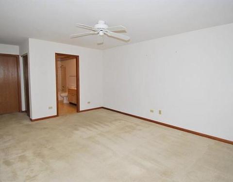 13871 Mandarin Ct, Plainfield, IL 60544 photo 16