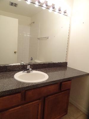 5880 Forest View Rd #e, Lisle, IL 60532 photo 7