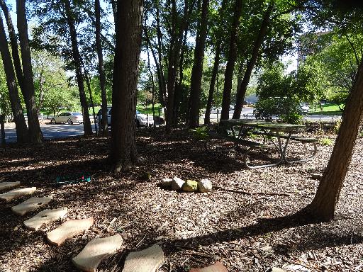 5880 Forest View Rd #e, Lisle, IL 60532 photo 13