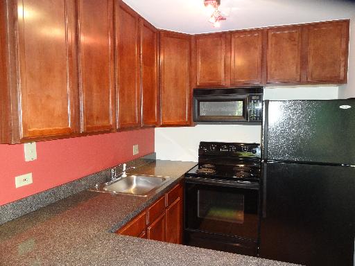 5880 Forest View Rd #e, Lisle, IL 60532 photo 5