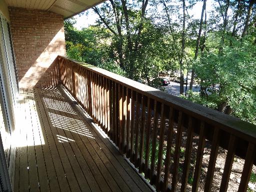 5880 Forest View Rd #e, Lisle, IL 60532 photo 6