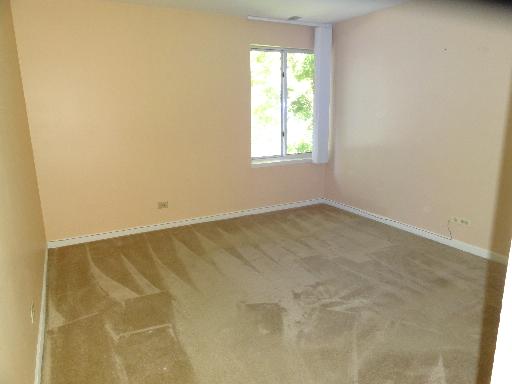 5880 Forest View Rd #e, Lisle, IL 60532 photo 10