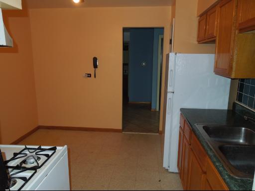 9205 Bumble Bee Dr #2D, Des Plaines, IL 60016 photo 9