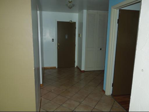 9205 Bumble Bee Dr #2D, Des Plaines, IL 60016 photo 12