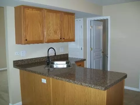 1287 Spaulding Rd, Bartlett, IL 60103 photo 7