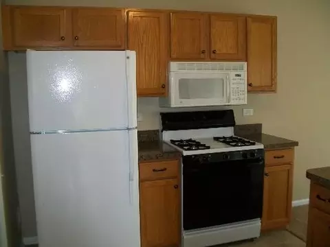 1287 Spaulding Rd, Bartlett, IL 60103 photo 8